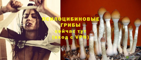 первитин Верея