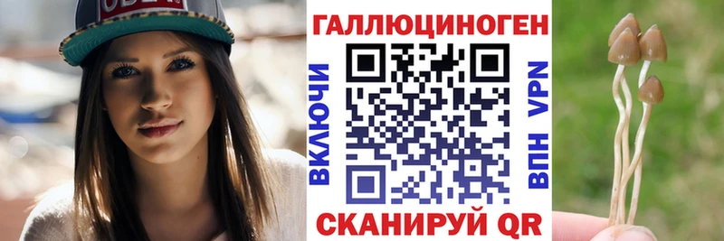 сколько стоит  Каневская  Псилоцибиновые грибы мухоморы 